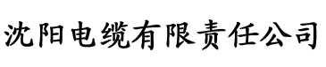 红桃影院亚洲一区电缆厂logo